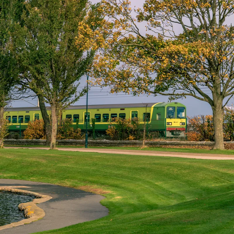A green DART train passing beside a park