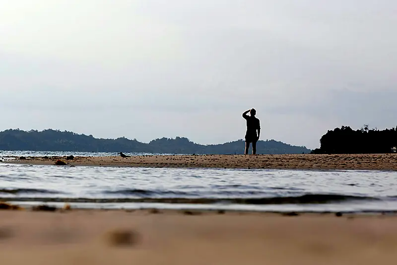 A person standing on a sandbank at low tide, looking out across calm water towards wooded islands
